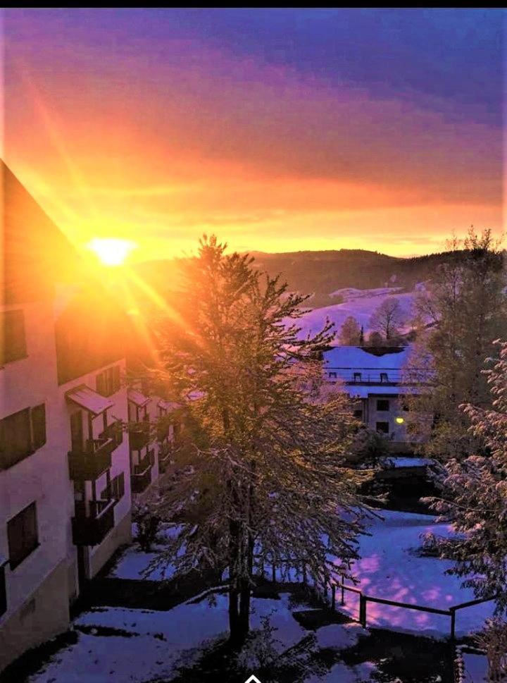 Ferienwohnung Oberallgaeu Ferienpark Mit Schwimmbad 미센 윌햄스 외부 사진